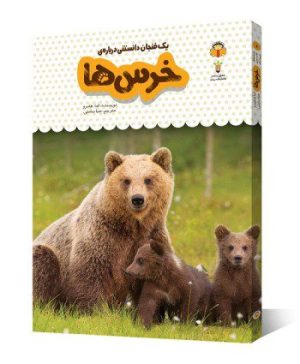 یک فنجان دانستنی درباره خرس ها