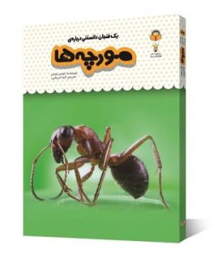 یک فنجان دانستنی درباره ی مورچه ها