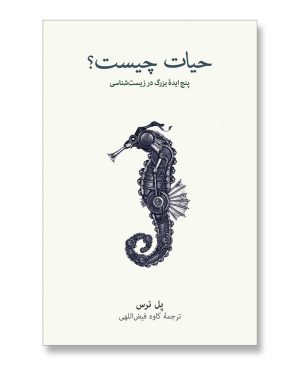 حیات چیست